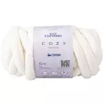 Fio Cisne Cozy 300G 15M Cor B