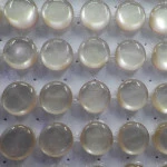 Botao Ibg 10042-18 Pes C/72 Cor 8717