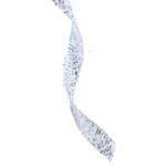 Fita Sinimbu 1300/ 06 Decorat C/10M Cor C01 Prata