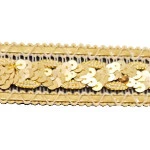 Passamanaria Imp Trader 1329 3,0Cm C/20M Cor Ouro
