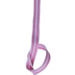 Fita Sinimbu 1877/10 Decorat C/10M Cor C02