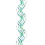 Sianinha Sao Jose 222/02 Mista 10M Cor 38 - Branco/Verde Agua