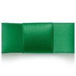 Fita Najar  40/02 Peca 10Mm Cetim 10M Cor 5 - Amazonas
