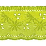Tira Bord Trader  58813 8,0Cm C/13,7M Cor 25-Verde Limao