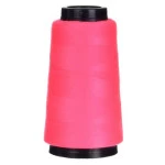 Linha Bonfio Br05 Reta120 29Tex C/1371M Cor 318