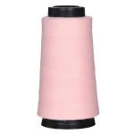 Linha Bonfio Br05 Reta120 29Tex C/1371M Cor 2854