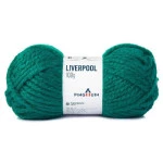 Fio Pingouin Liverpool 500G Cor 2610 - Floresta