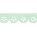 Bordado Marilda 01 Liso 2,1Cm C/10M Cor 207 Verde Claro