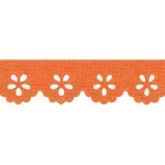 Bordado Marilda 01 Liso 2,1Cm C/10M Cor 225 Laranja