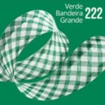 Vies Fechado Cinderela Xadrez 25Mm 20M Cor 222 Vd Band. Gde