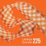 Vies Fechado Cinderela Xadrez 25Mm 20M Cor 225 Laranja Gde