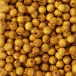 Contas Madeira Luli 16Mm 100G Cor Marrom Claro