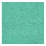 Tnt Santa Fe 53/56G M2 L.140Cm 50M Cor 02	Verde Claro