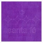 Tnt Santa Fe 53/56G M2 L.140Cm 50M Cor 41	Violeta