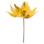 Enf.Art Flor Bico Papag Renda Zc1564 Cor Ouro
