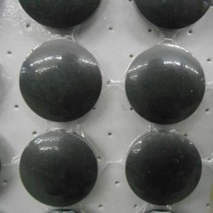 BOTAO IBG 10021-32 PES C/24