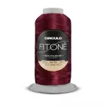 Fio Circulo Fitone 100G 90M Cor 6274 - Choque