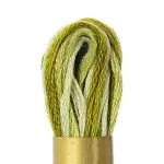 Linha Circulo Maxi Mouline Meada 12X8M Cor 991